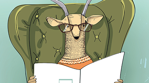 © cofeee/AdobeStock