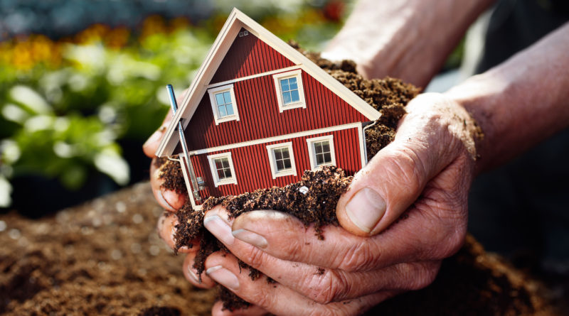 © Adobe Stock/Ingo Bartussek