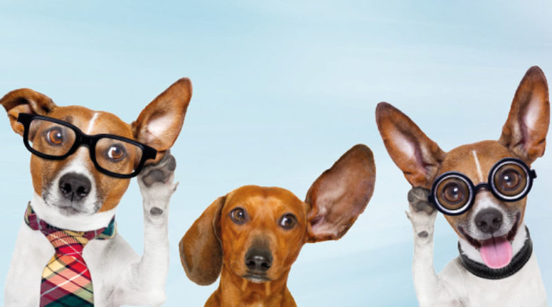 © Javier brosch-AdobeStock