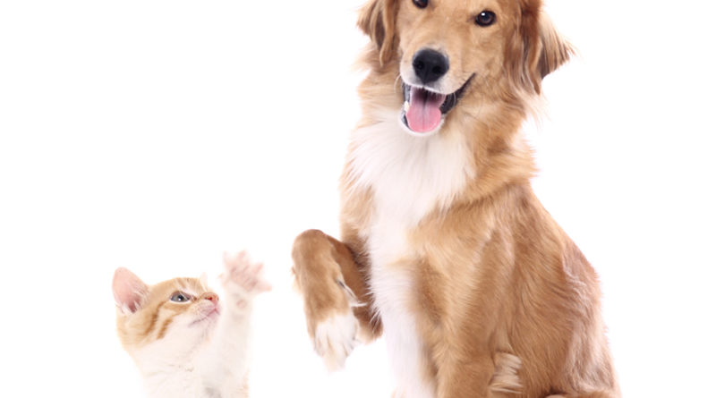 © Djomas-AdobeStock