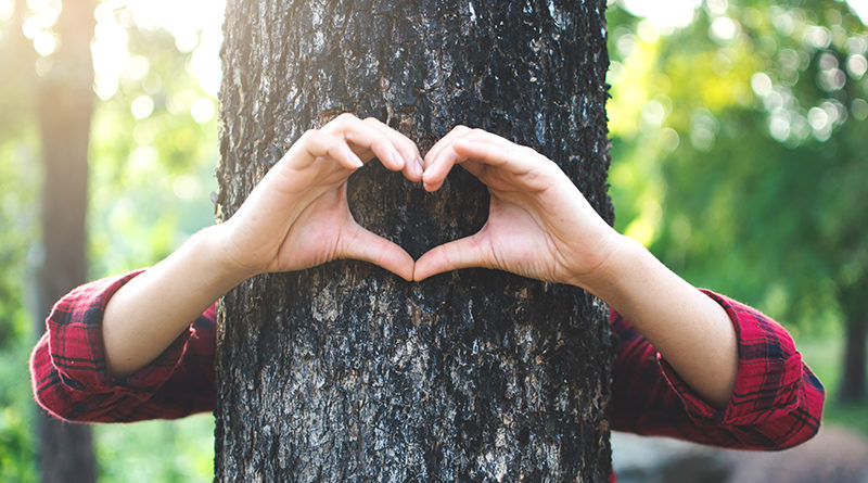 Fotos: sawitreelyaon/AdobeStock