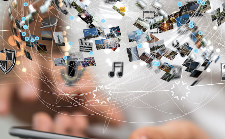 ©vegefox.com/AdobeStock