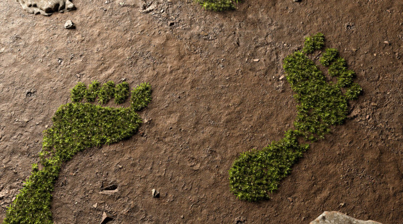 © lassedesignen - stock.adobe.com