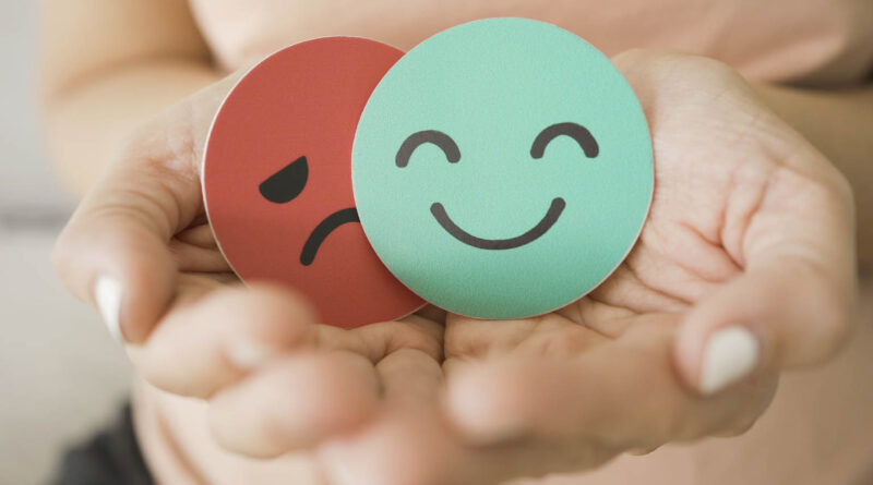 © SewcreamStudio - stock.adobe.com