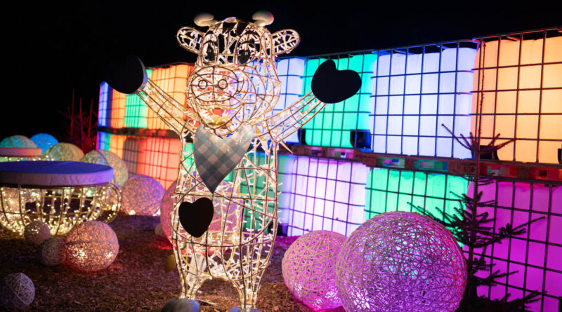 © Eis-Greissler_Sabine Sattlegger