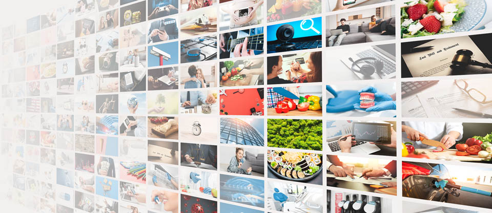 © Proxima Studio - stock.adobe.com