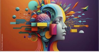 MedienManagerKompakt KW 11/26